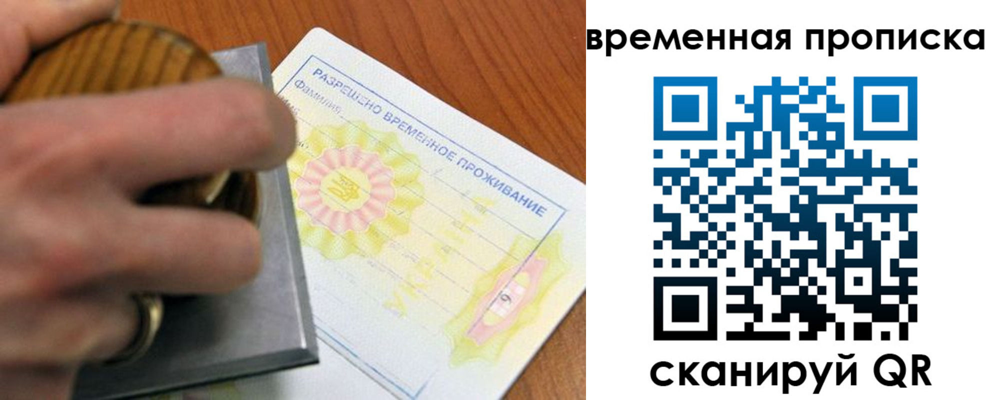 прописка в Северске